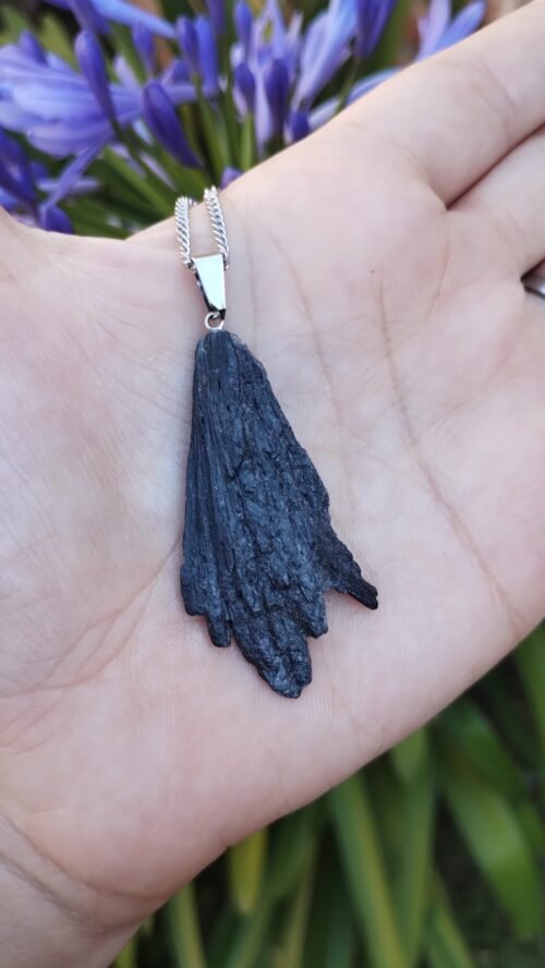 Cianita Negra 'Escoba de Bruja'