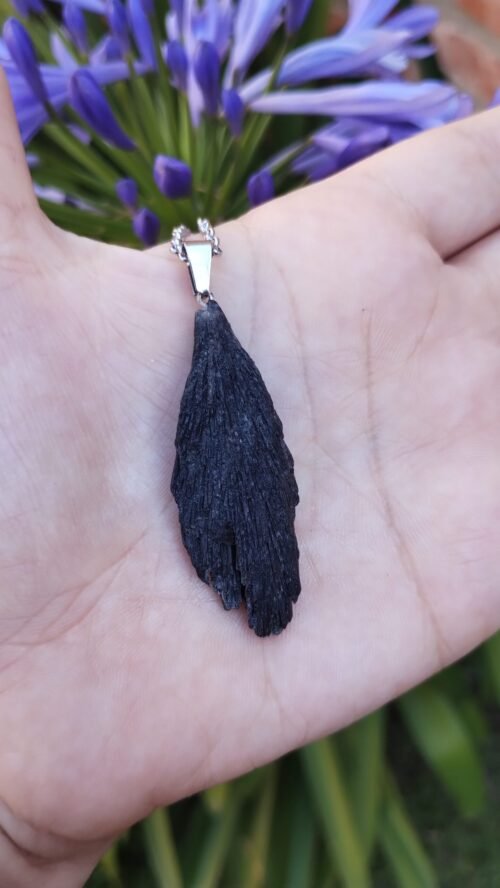 Cianita Negra 'Escoba de Bruja'