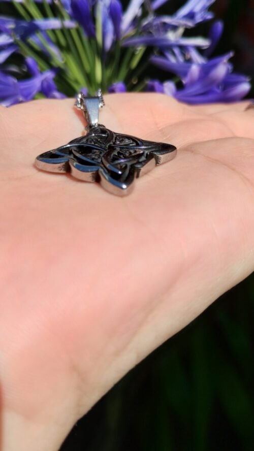 IMG_20231212_145324944_HDR Nudo de Brujas con Triquetas