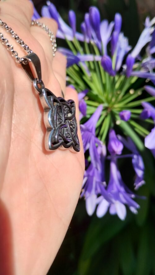 IMG_20231212_145335727_HDR Nudo de Brujas con Triquetas