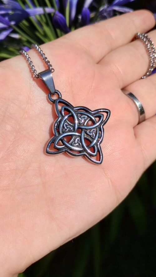 IMG_20231212_145343184_HDR Nudo de Brujas con Triquetas